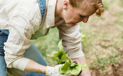 Personne agee dans son jardin Personne agee dans son jardin